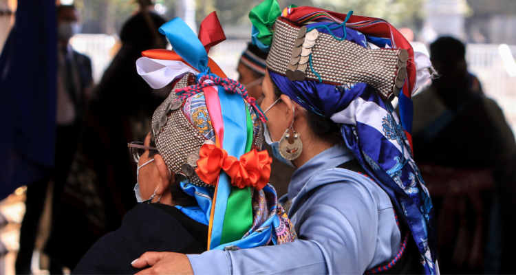 Un llamado a la reflexión, la representación de los Pueblos Indígenas en el Foro Permanente de la ONU