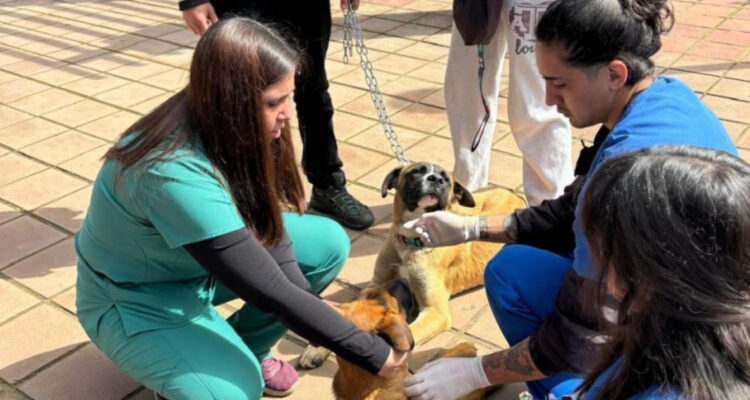 Estudiantes y académicos UST crean red de impacto territorial: hay 20 mil beneficiarios en 11 regiones