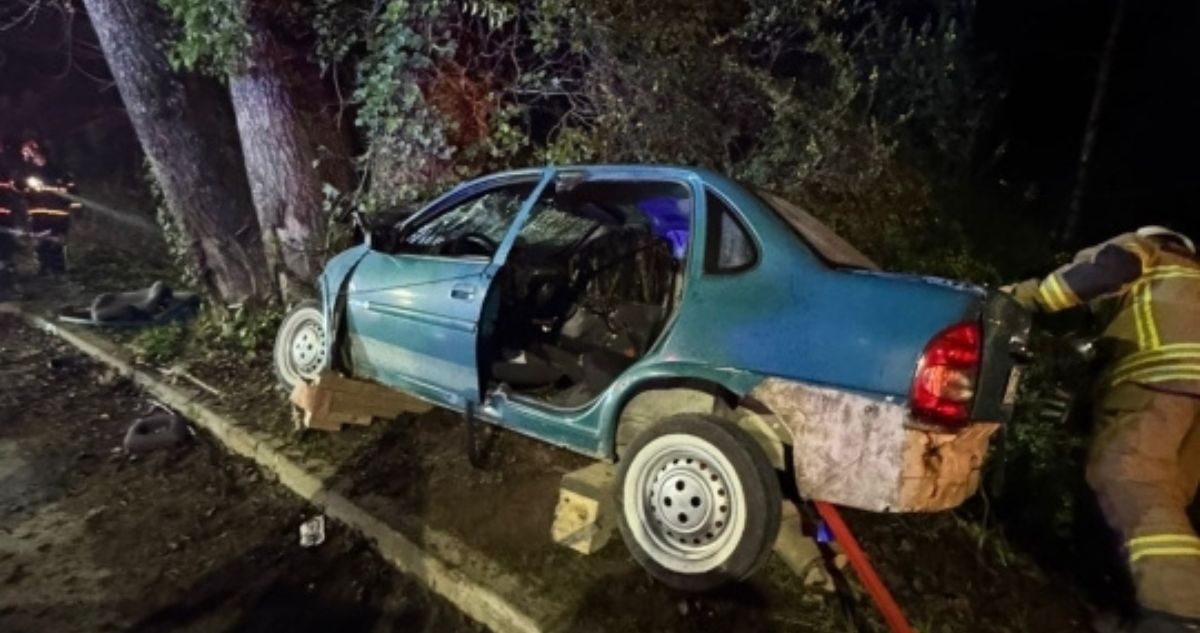 Cuatro extranjeros irregulares resultan lesionados tras chocar vehículo contra un árbol en Valdivia