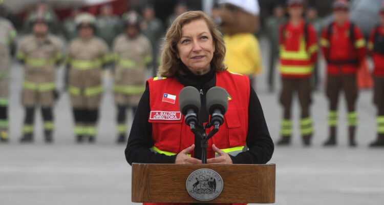 Gobierno confirma renuncia de directora de la Conaf, Aida Baldini