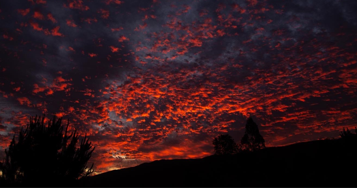 Atardecer 