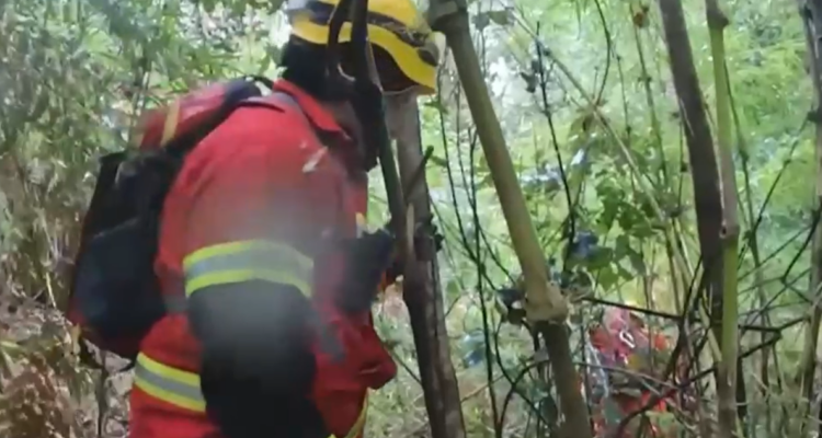 Buscan a adulto mayor extraviado en cercanías de las Termas de Puyehue: dejó vehículo abandonado