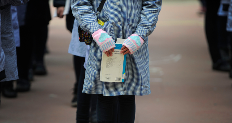 Calidad educación: Chile ya sabe qué colegios fallan, pero no permite que salgan ni que entren mejores. Urge romper la inercia y dejar crecer a quienes lo hacen bien