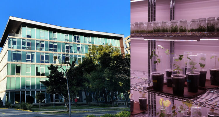 U. Autónoma de Chile abre Centro de Investigación e Innovación en Huechuraba: tendrá 25 laboratorios