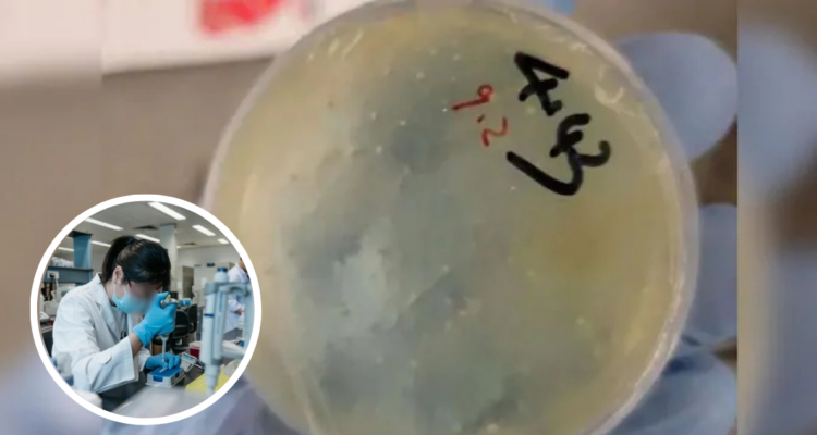 Científica china en EEUU