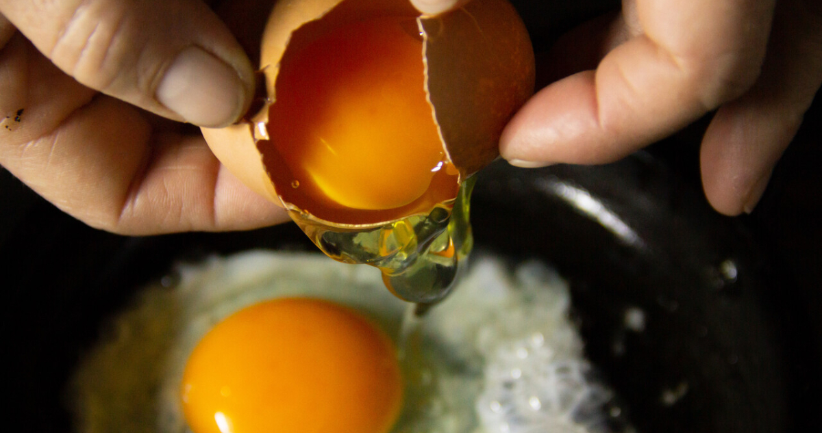Hasta el precio de los huevos estaría afectado por burocracia y freno a nuevos proyectos, según gremio