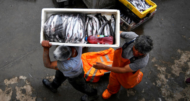 Congreso despacha nuevo fraccionamiento pesquero: sector artesanal gana cuotas en la tramitación