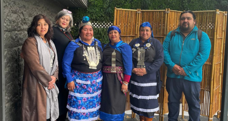 Consejeros Mapuche y Rapa Nui acusan al Gobierno de querer crear “hito comunicacional” en base a Informe de Paz y Entendimiento