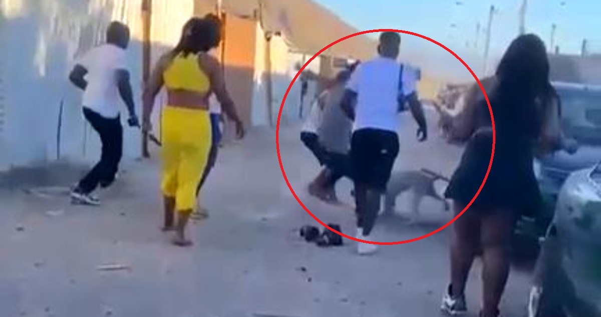 Detienen a hombre prófugo por brutal maltrato animal en Copiapó: acuchilló a pitbull hace un año
