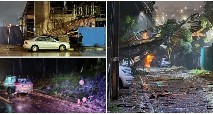 Cortes de luz y caídas de árboles por fuerte viento y lluvias desde la región de Bío Bío hacia el sur