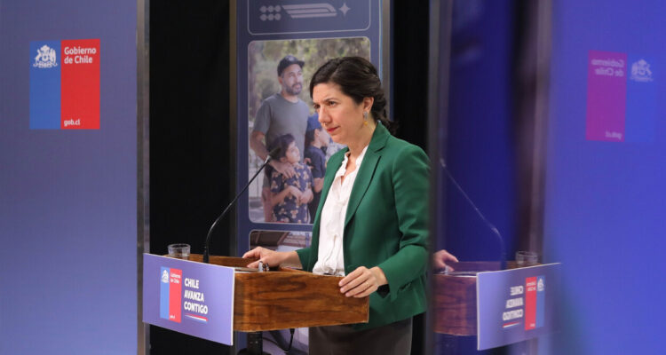 Ministra Etcheverry por despenalización del aborto: “No vamos a apurar el debate”