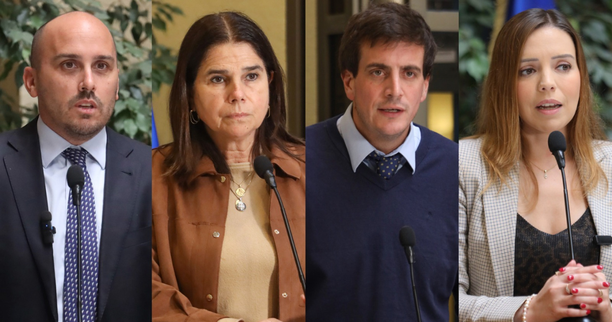 diputados rn cuñada boric