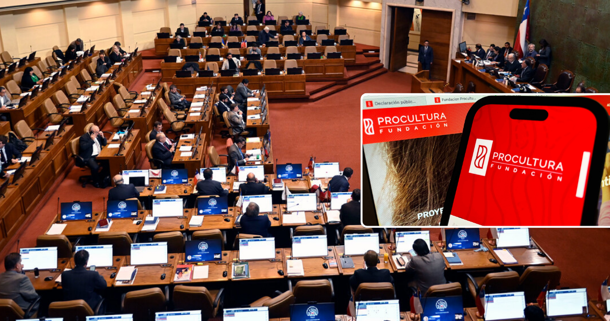 Cámara respalda informe de Comisión Investigadora por ProCultura: apunta a autoridades por convenios