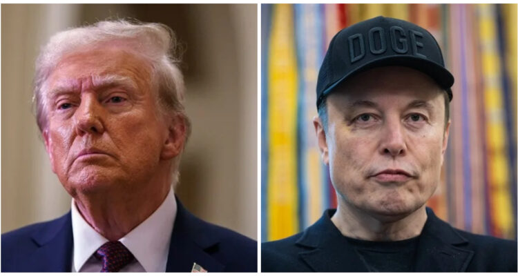 Donald Trump y Elon Musk