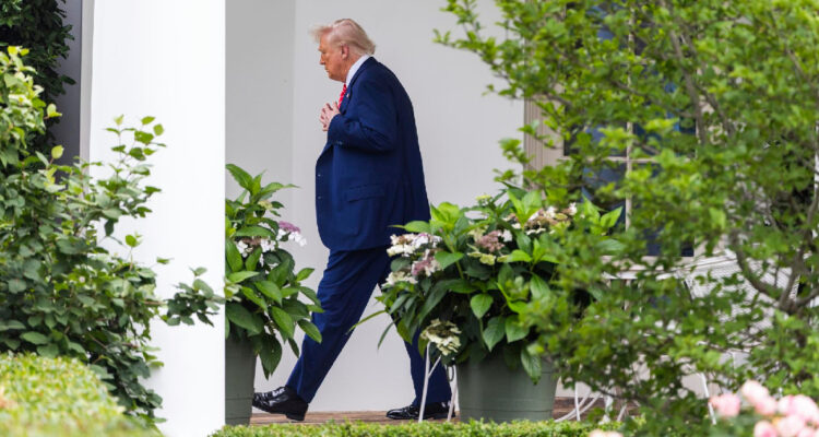 OCDE advierte a Trump del coste a la economía de EEUU si decide recrudecer la guerra comercial