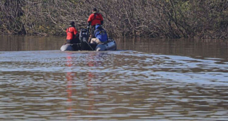 Los Ríos: encuentran cuerpo de un hombre flotando en río San Pedro en localidad de Huellelhue