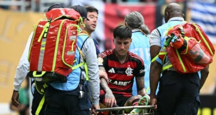 Erick Pulgar Flamengo