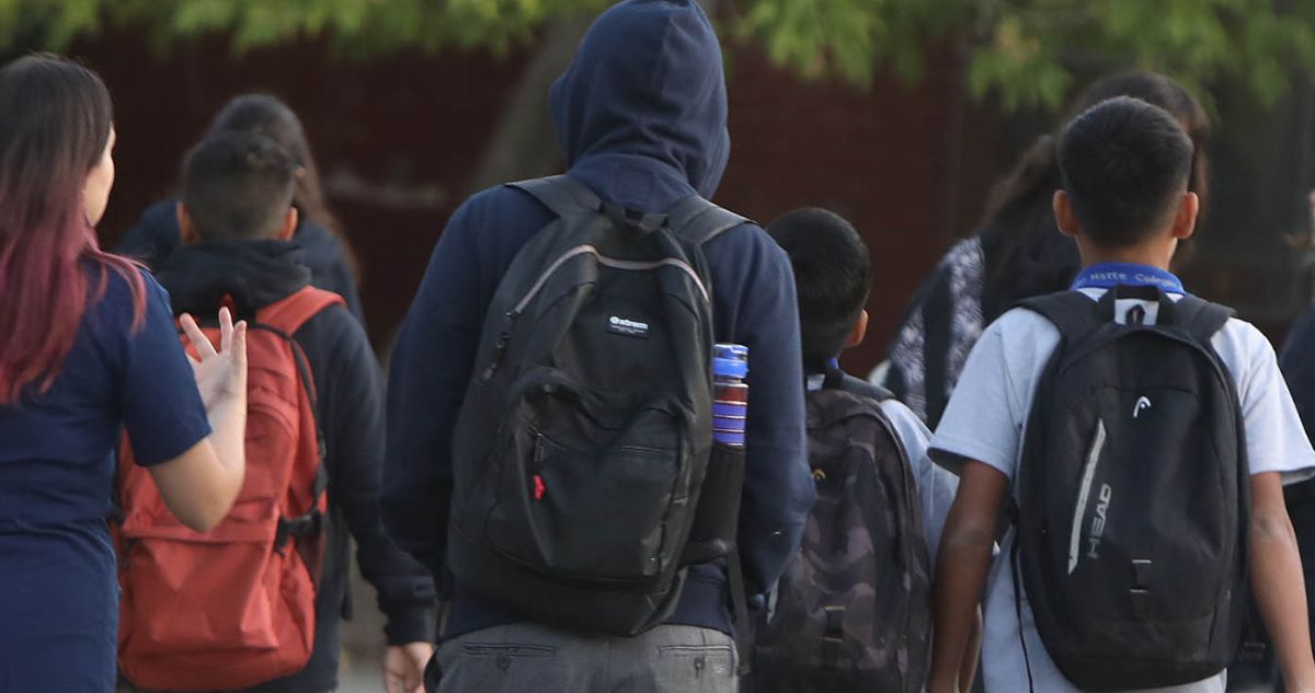 Censo 2024 aumento en la escolaridad promedio en Chile: aumentó a 12,1 años