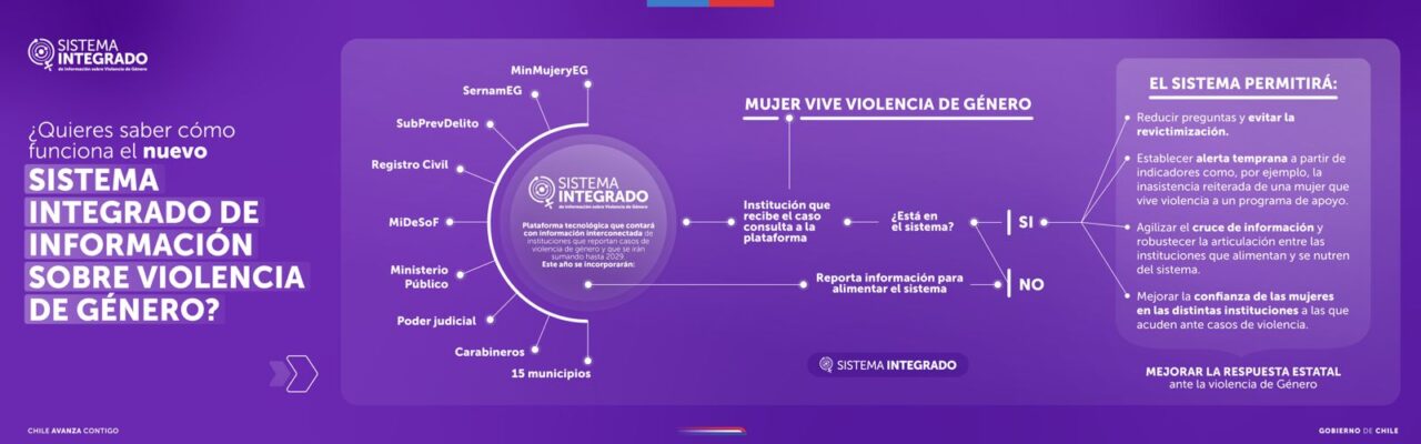 Sistema integrado contra la violencia de género 