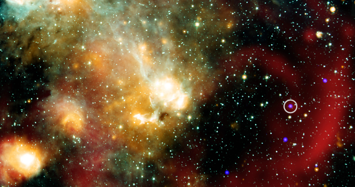 Astrónomos detectan un objeto “inusual” que emite pulsaciones cada 44 minutos: “Algo dramático pasó”