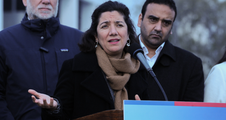 Etcheverry descarta que baja participación en primarias sea desgaste del proyecto político de Gobierno