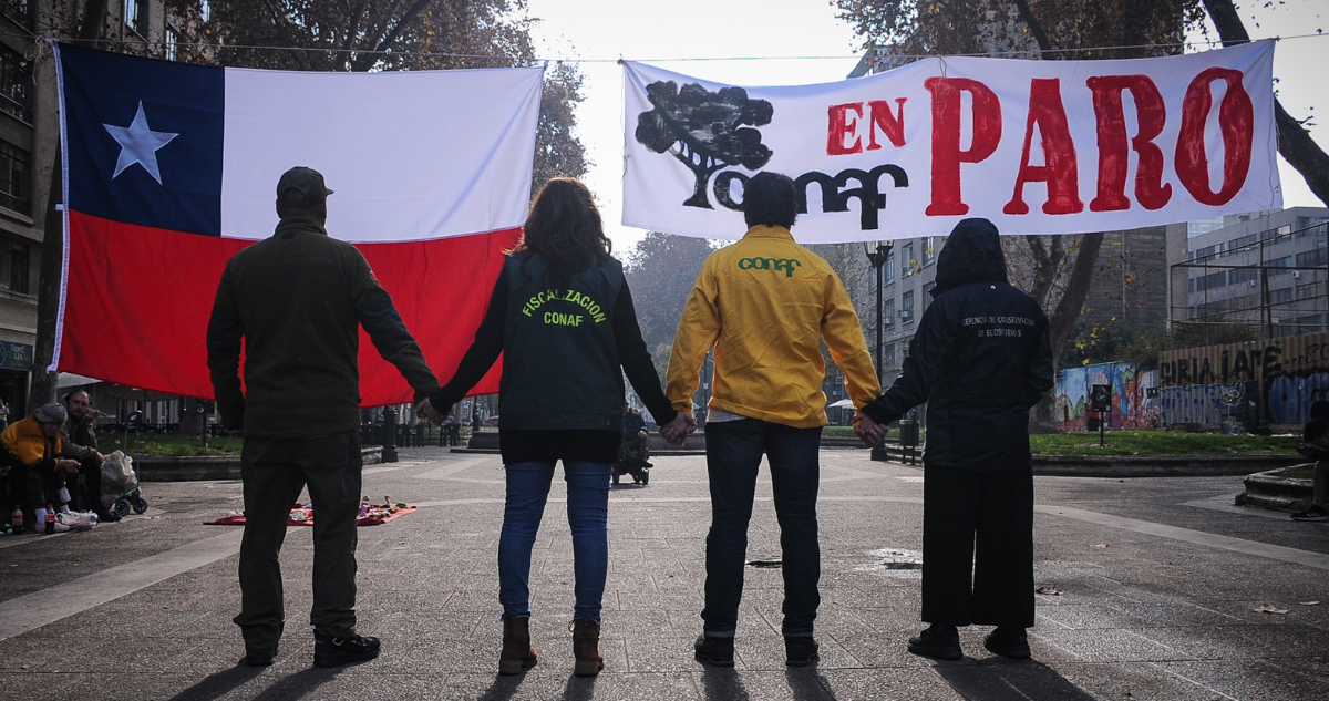 Fedetur exige “intervención” del Gobierno para terminar con paro en Conaf: alertan por daño al turismo
