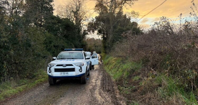 Encuentran cadáver de un hombre en zona rural de Osorno: presenta múltiples impactos balísticos