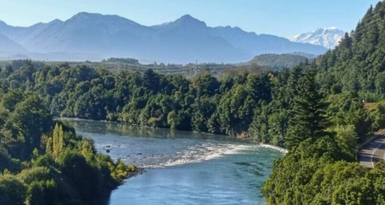 ¿Debe el Ministerio del Medio Ambiente cambiar su nombre a Ministerio de Sustentabilidad? En esta columna, Simón Berti, presidente del Colegio de Ingenieros Forestales, plantea la urgencia de equilibrar protección ambiental, desarrollo económico y bienestar social en la gestión pública