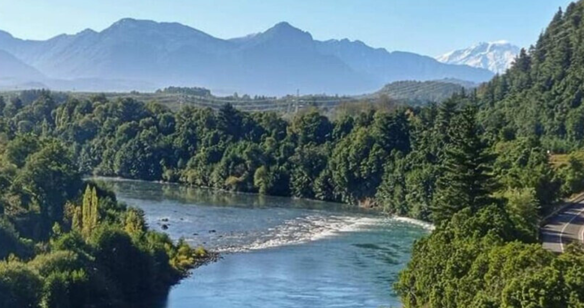 ¿Debe el Ministerio del Medio Ambiente cambiar su nombre a Ministerio de Sustentabilidad? En esta columna, Simón Berti, presidente del Colegio de Ingenieros Forestales, plantea la urgencia de equilibrar protección ambiental, desarrollo económico y bienestar social en la gestión pública