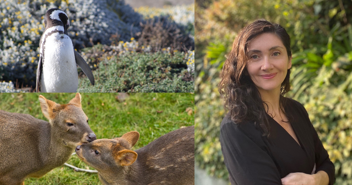 Investigadora chilena liderará evaluación global de soluciones públicas medioambientales