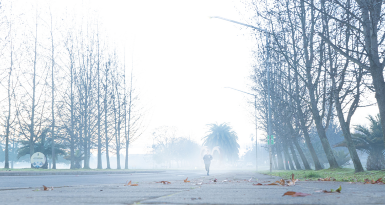 Cómo será el invierno 2025 en Chile: experto adelanta condiciones extremas por el cambio climático