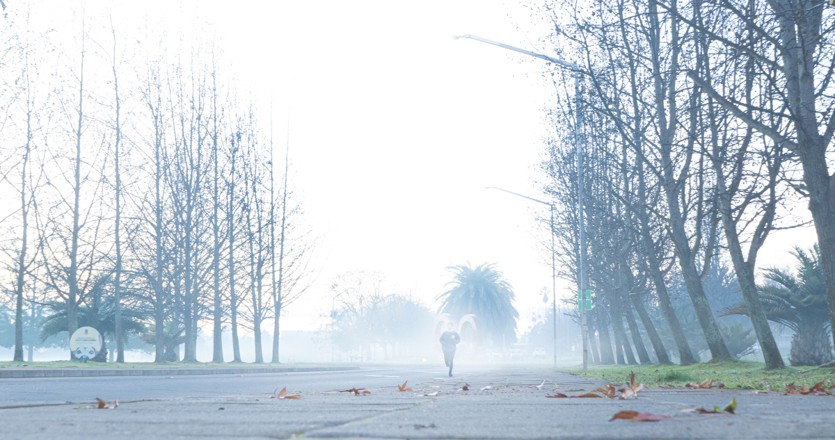 Cómo será el invierno 2025 en Chile: experto adelanta condiciones extremas por el cambio climático