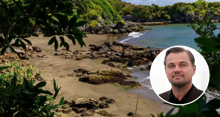 Armada confirma que mantendrá presencia en Isla Guafo: ONG ligada a DiCaprio compró parte de ella
