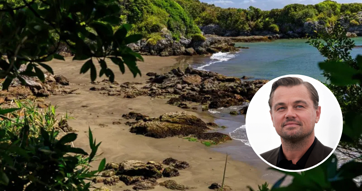 Armada confirma que mantendrá presencia en Isla Guafo: ONG ligada a DiCaprio compró parte de ella
