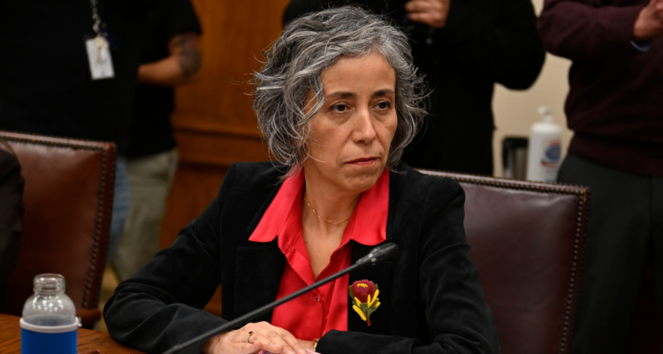 Licencias médicas: Gobierno pide renuncia a Superintendenta de Seguridad Social, Pamela Gana Cornejo