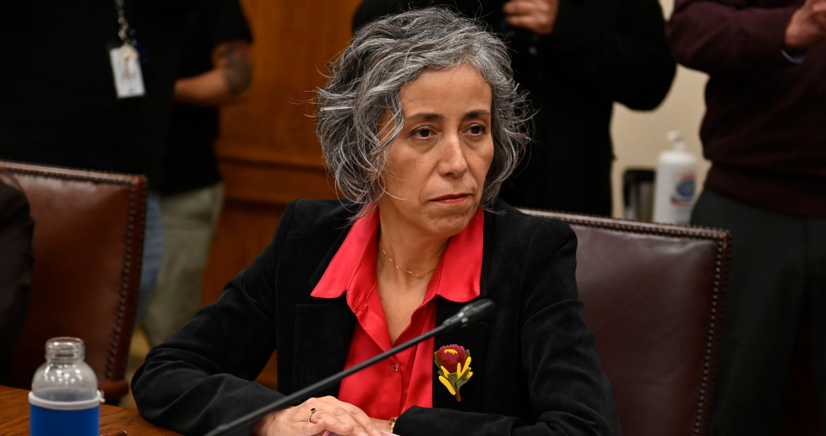 Licencias médicas: Gobierno pide renuncia a Superintendenta de Seguridad Social, Pamela Gana Cornejo