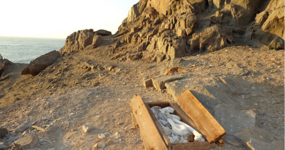 Los chinos “coolies”, los esclavos de la extracción del guano