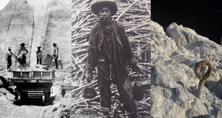 Los chinos “coolies”, los esclavos de la extracción del guano