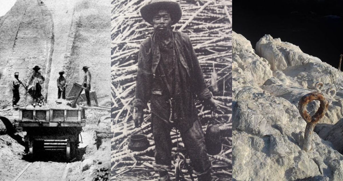 Los chinos “coolies”, los esclavos de la extracción del guano