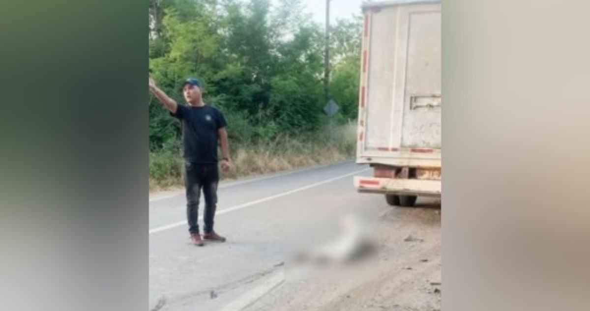 Sentencian a sujetos que ataron y arrastraron a perro en plena carretera en La Calera