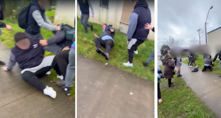 Chofer de micro se enfrasca en violenta pelea con escolar de 14 años en Puerto Montt: no portaba TNE