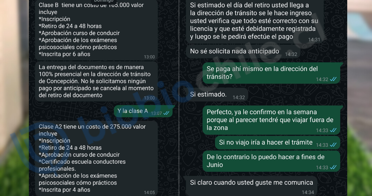 "Tengo movida segura": Vecinos de Talcahuano acusan venta ilegal de licencias de conducir por WhatsApp