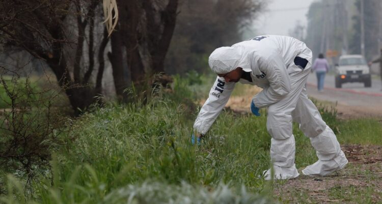 Menor de 16 años fue baleado durante violento asalto en el Parque Forestal en Santiago