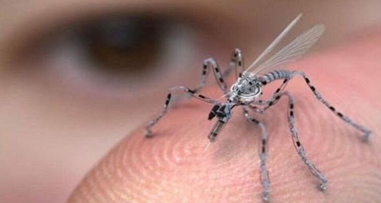 Así es el minidron espía chino: es del tamaño de un mosquito