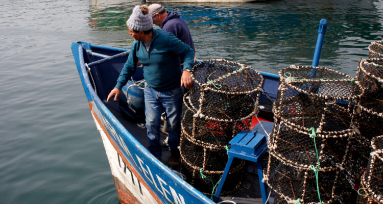 Mixta acuerda nuevo fraccionamiento de la merluza común: 55% para artesanales, 45% para industrial