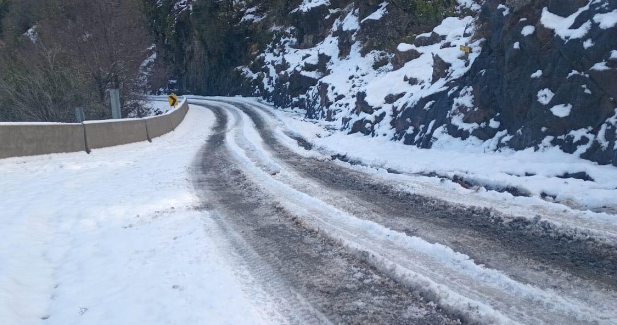 Nieve en Alto Bío Bío
