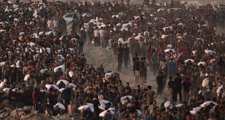 ONU acusa más de 500 muertes desde mayo en puntos de reparto de comida en Gaza