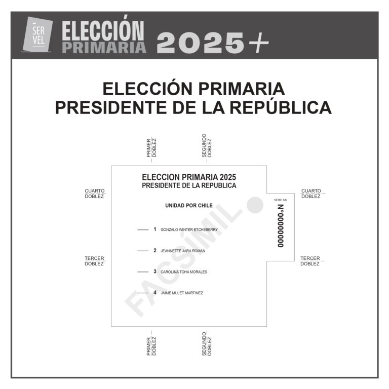 Elecciones Primarias 2025