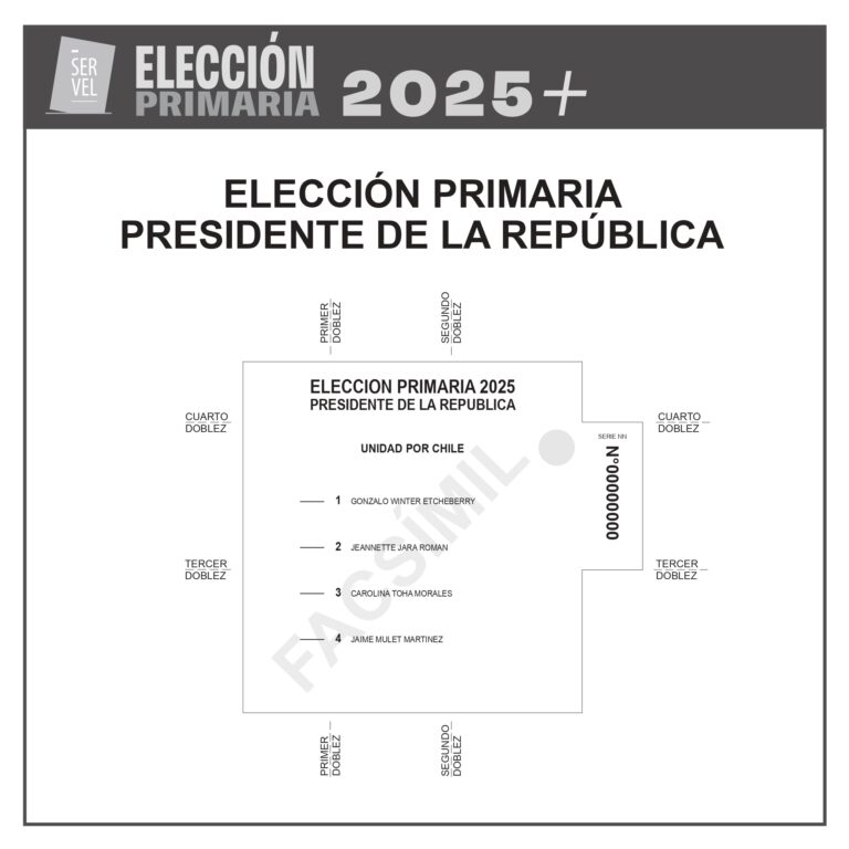 Papeleta elecciones