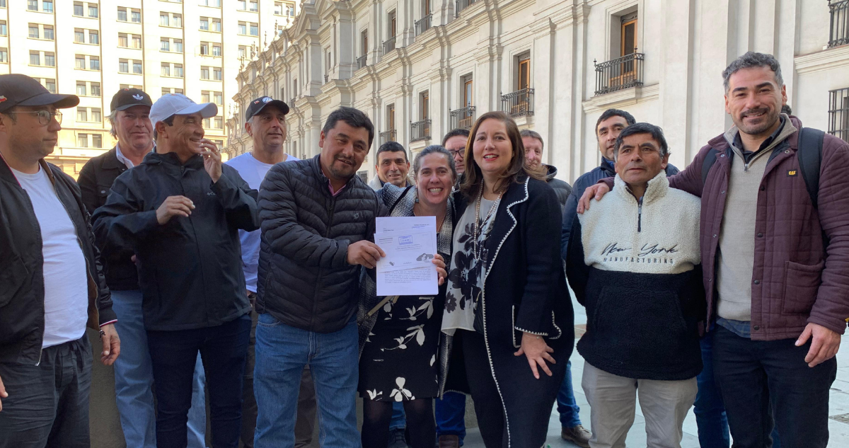 Pescadores artesanales piden a Boric intervenir en cuotas de la merluza: alertan por su preservación